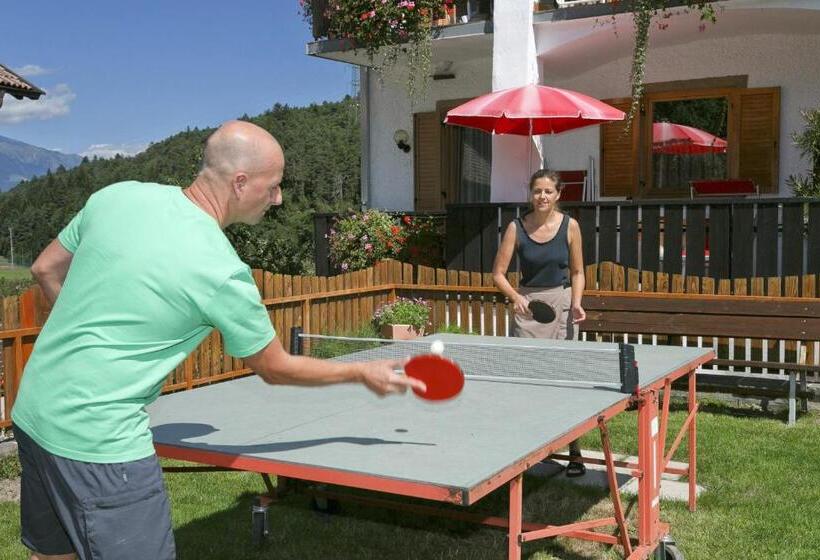 פנסיון Felsenegg