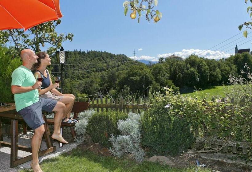 פנסיון Felsenegg