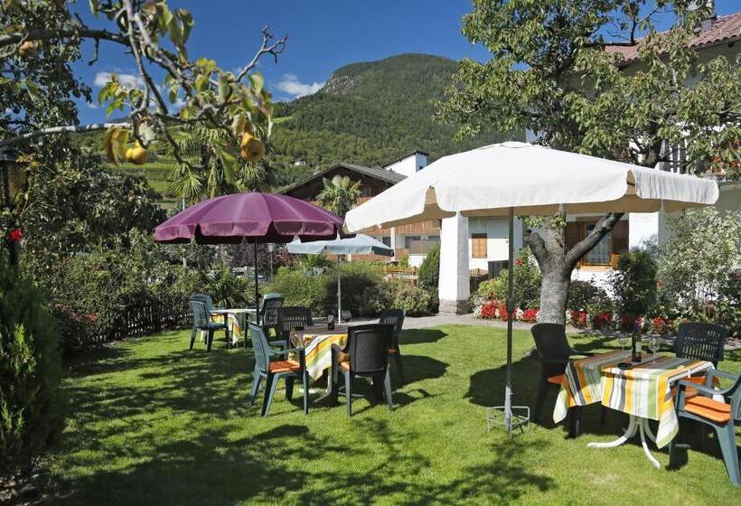 פנסיון Felsenegg