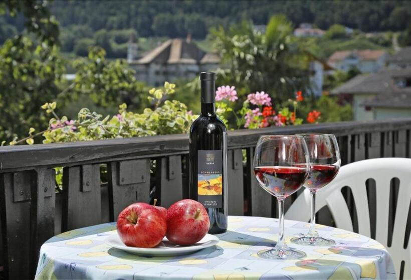 פנסיון Felsenegg