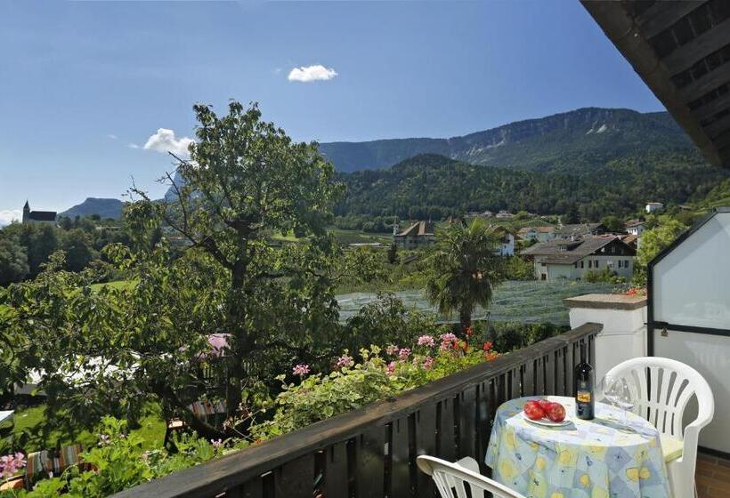 פנסיון Felsenegg