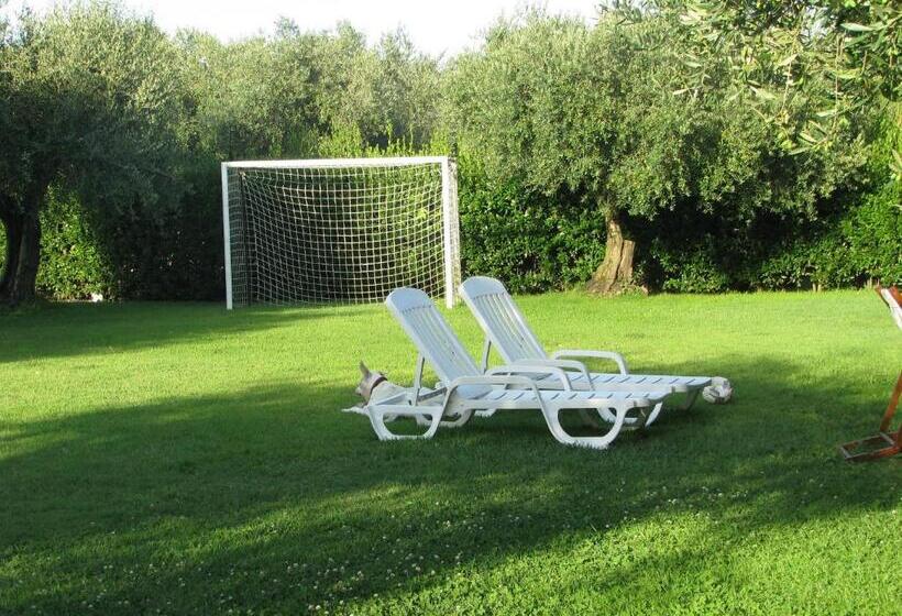 פנסיון Nuraghe Bianco