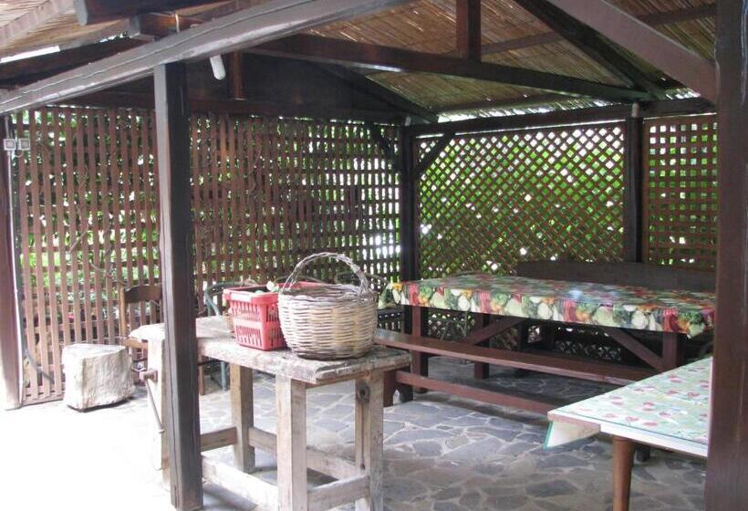 פנסיון Nuraghe Bianco