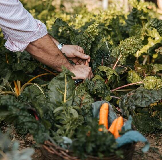 فندق Di Colle In Colle   Agriturismo