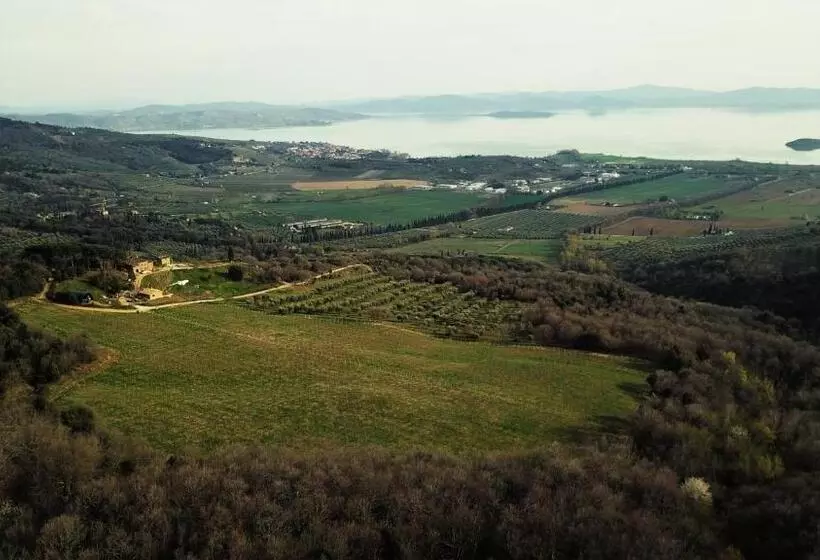 ホテル Di Colle In Colle   Agriturismo