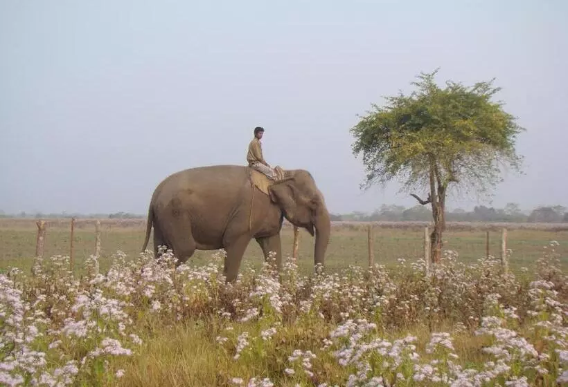 リゾートホテル Musa Jungle Retreat
