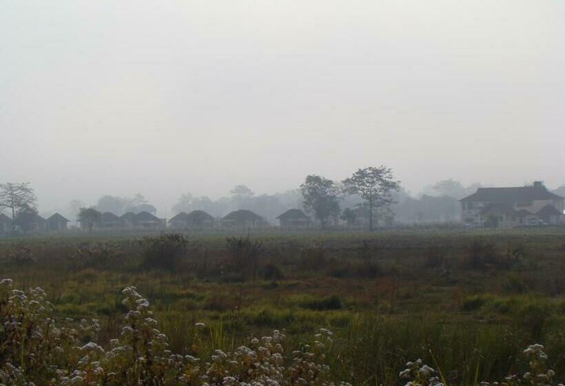 منتجع Musa Jungle Retreat