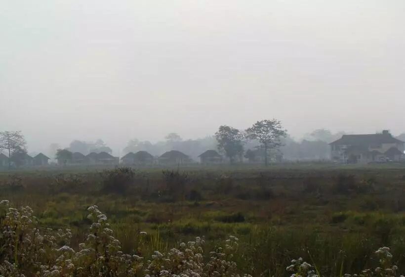 リゾートホテル Musa Jungle Retreat