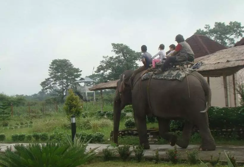 リゾートホテル Musa Jungle Retreat