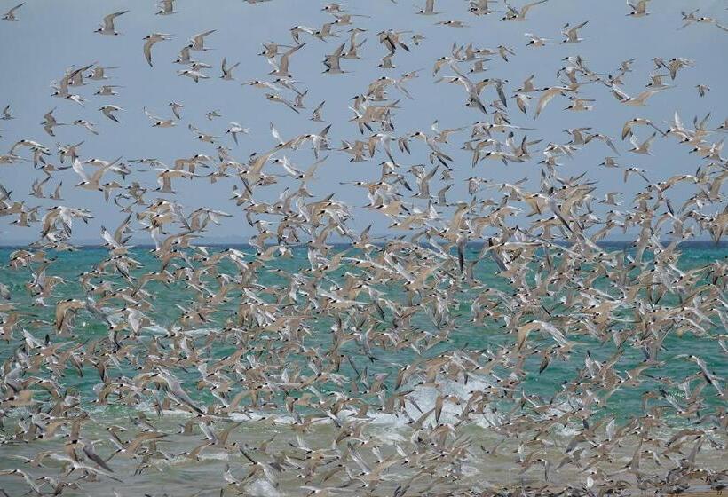 Anantara Bazaruto Island Resort