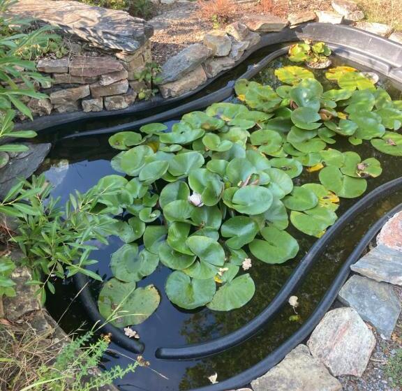 مبيت وإفطار Chambres D Hotes La Marmoire