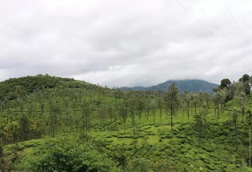 Aamiaismajoitus (B&B) Green Garden Deluxe Room