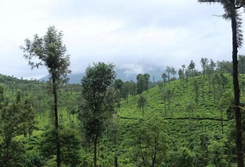 Aamiaismajoitus (B&B) Green Garden Deluxe Room