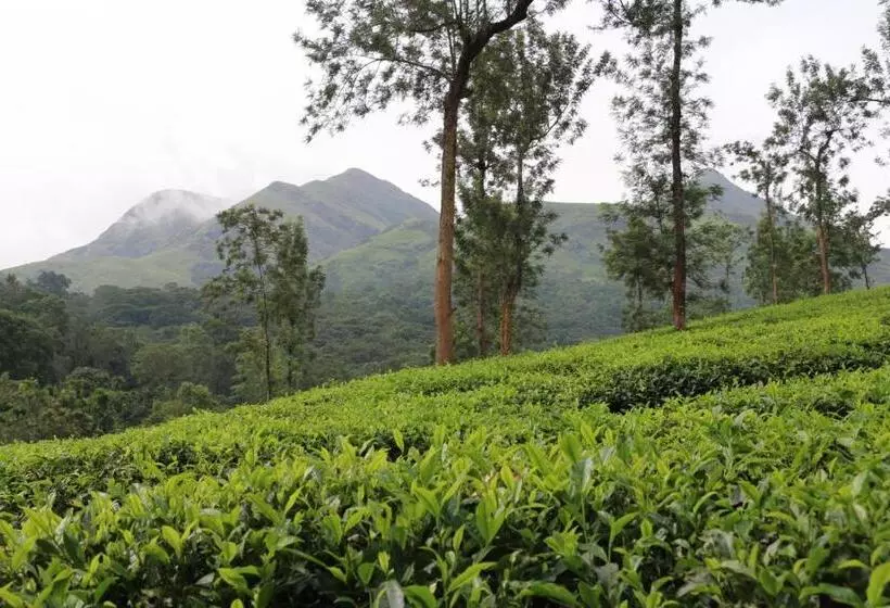 Aamiaismajoitus (B&B) Green Garden Deluxe Room