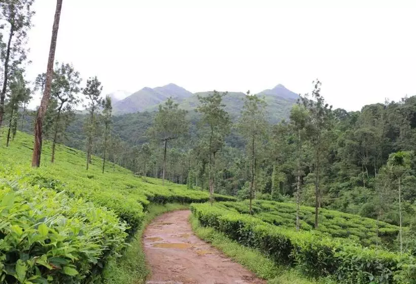 Aamiaismajoitus (B&B) Green Garden Deluxe Room