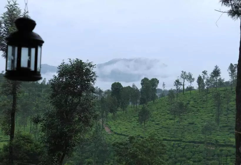 Aamiaismajoitus (B&B) Green Garden Deluxe Room