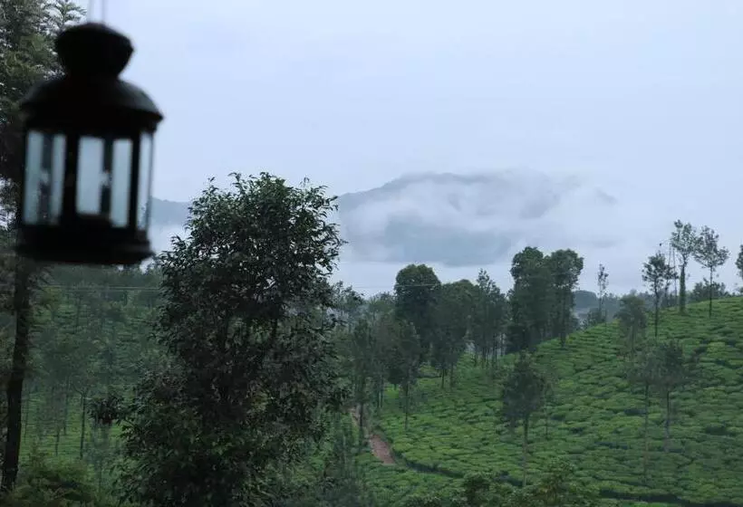 Aamiaismajoitus (B&B) Green Garden Deluxe Room