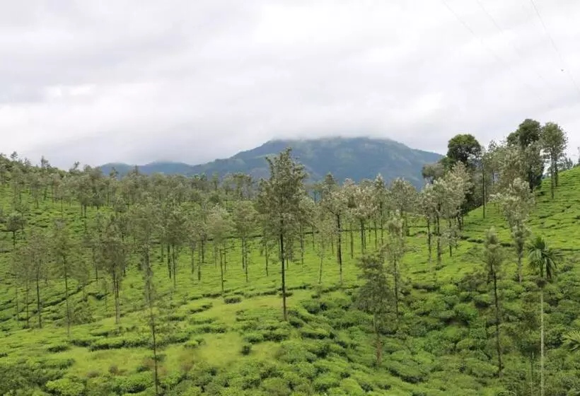 Aamiaismajoitus (B&B) Green Garden Deluxe Room