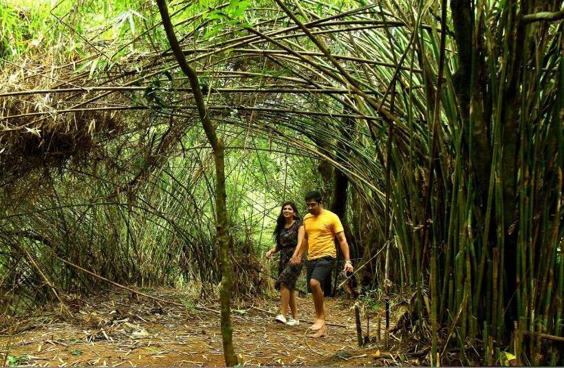 Casa Rio Resorts Athirappilly