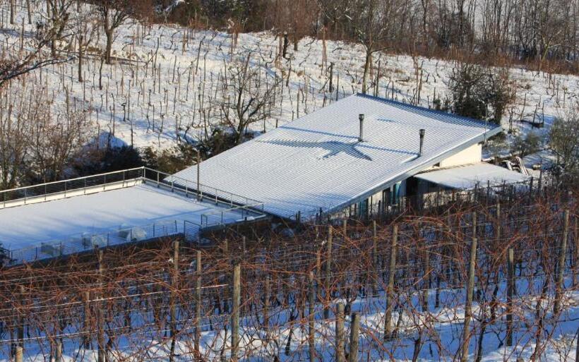 D'orsaria B&b And Wines