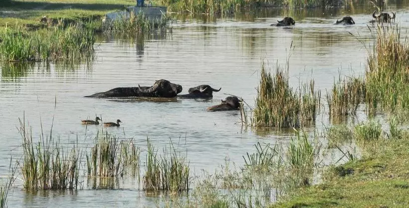 Homoki Lodge   Nature Quest Resort   Adult Only