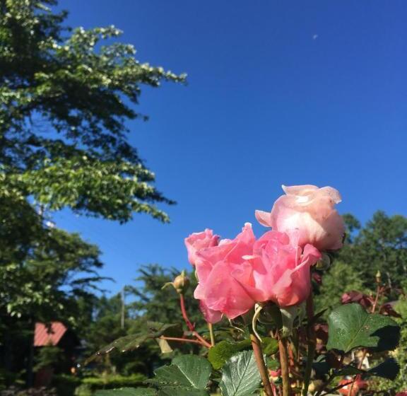 Hotel 貸切宿にんじん