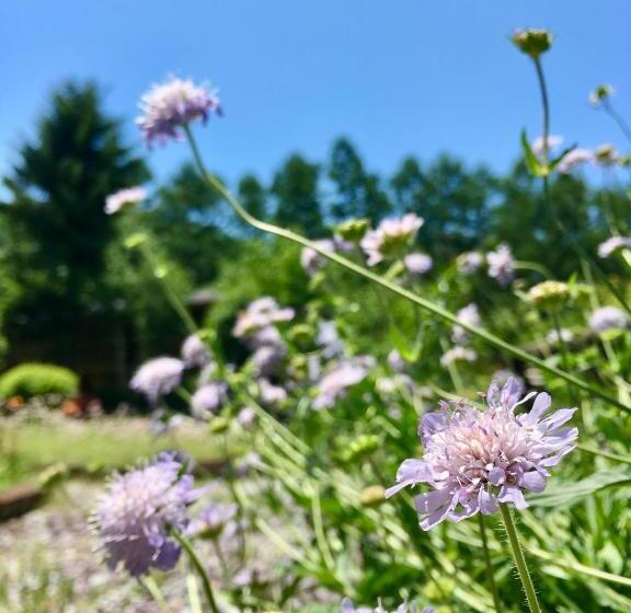 Hotel 貸切宿にんじん