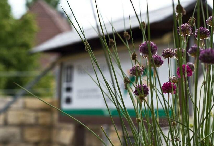 בית מלון כפרי Berg
