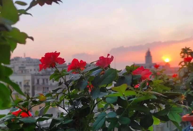 هتل Cairo House Hostel