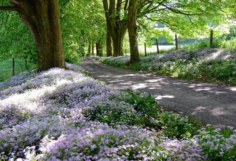 Hotel Craigadam Country House