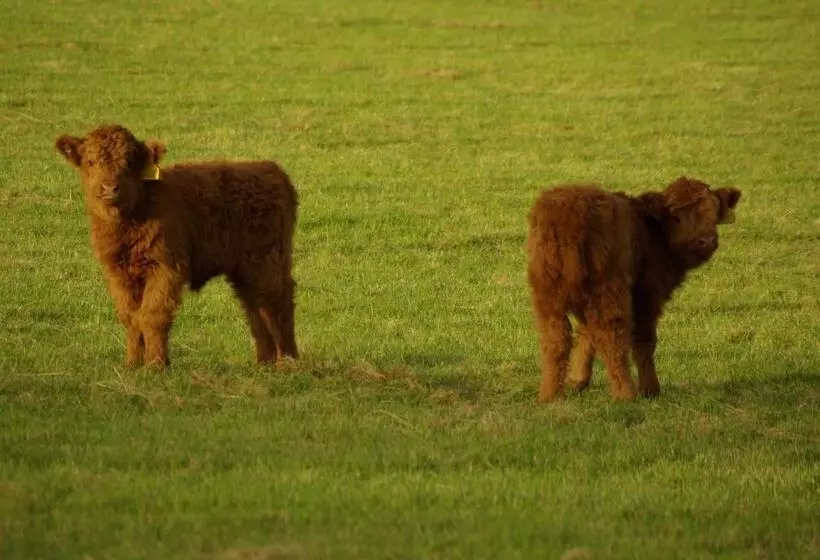 Hotelli Craigadam Country House