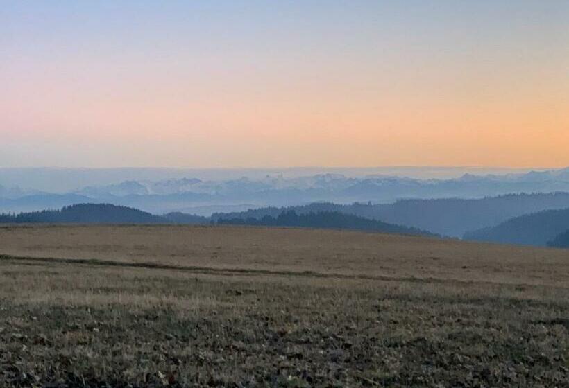 酒店 Gasthaus Zum Ochsen