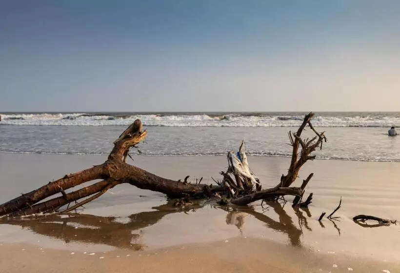 Hotelli Rvr Sarovar Portico