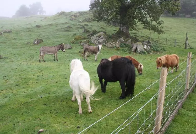 Ardgarry Farm