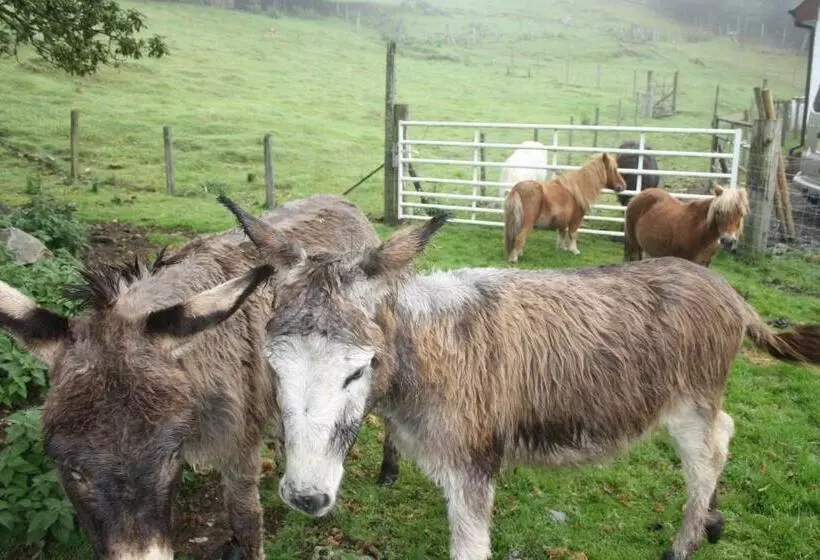 Ardgarry Farm