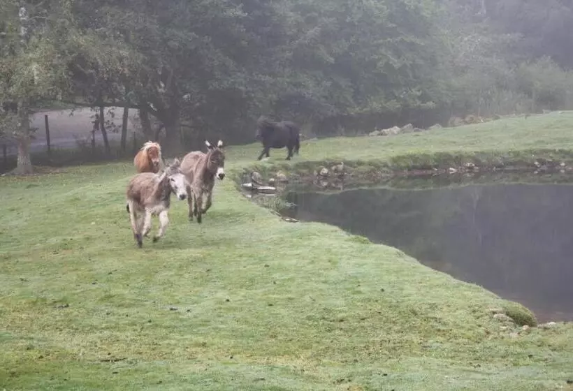 Ardgarry Farm