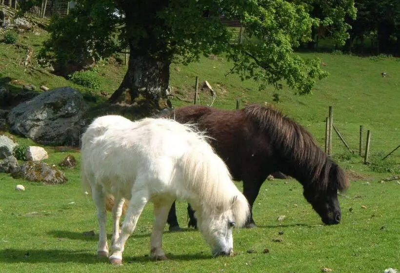 Ardgarry Farm