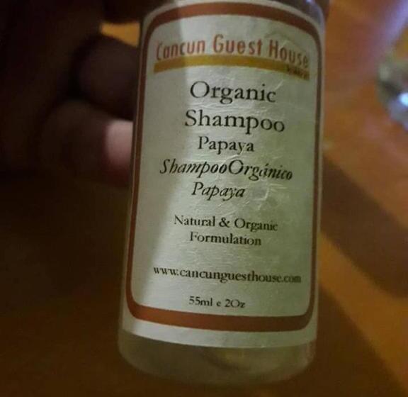 بنسيون Cancun Guest House 5