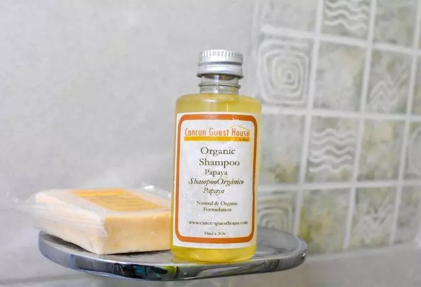 پانسیون Cancun Guest House 5