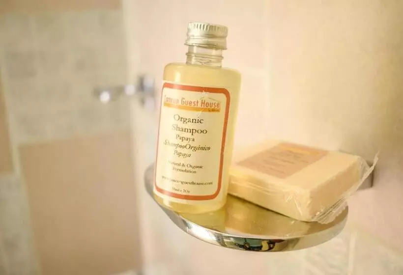 پانسیون Cancun Guest House 5