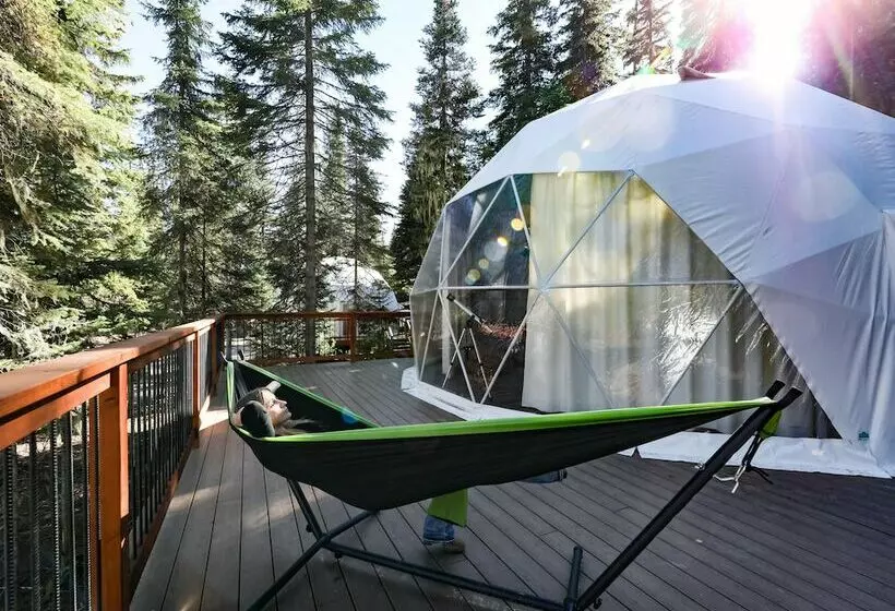 ホテル Clear Sky Resorts  Glacier  Unique Sky Domes