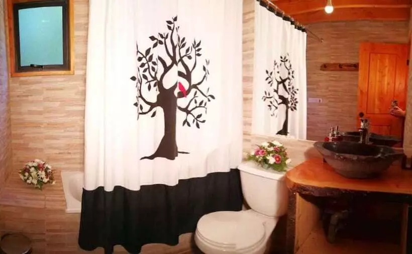 Okori Hostel Pucón