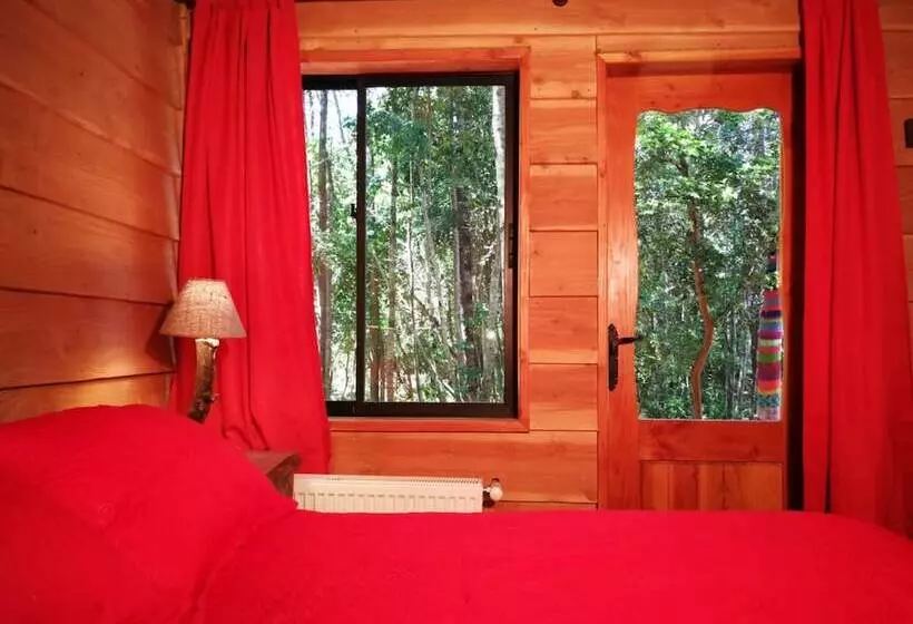 Okori Hostel Pucón