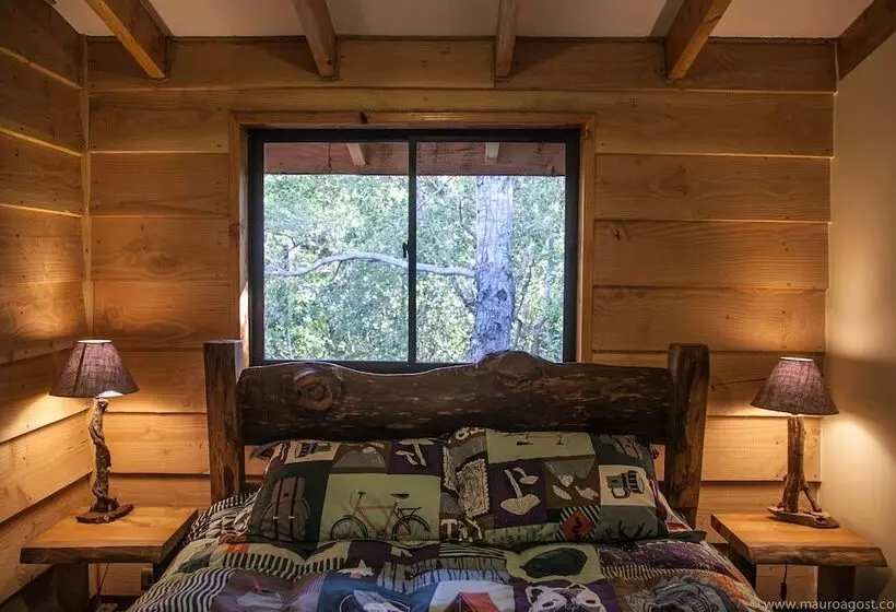 Okori Hostel Pucón