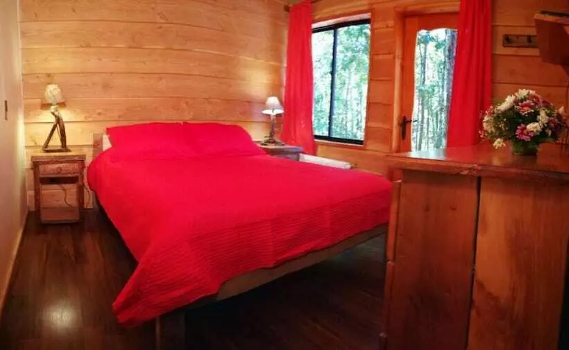 Okori Hostel Pucón