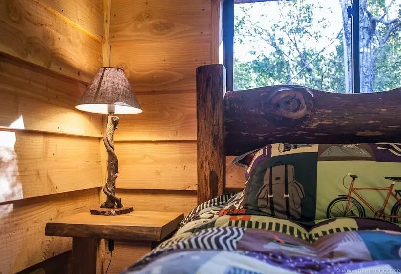 Okori Hostel Pucón