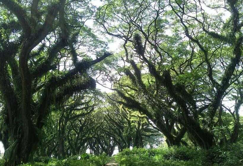 پانسیون Ijen Volcano Guesthouse