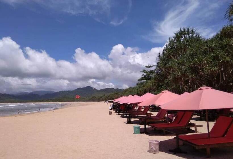 پانسیون Ijen Volcano Guesthouse