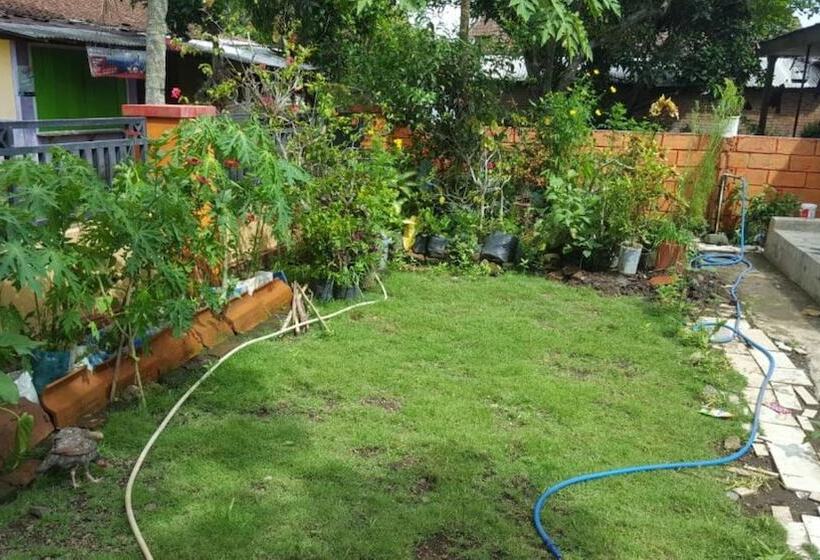 پانسیون Ijen Volcano Guesthouse