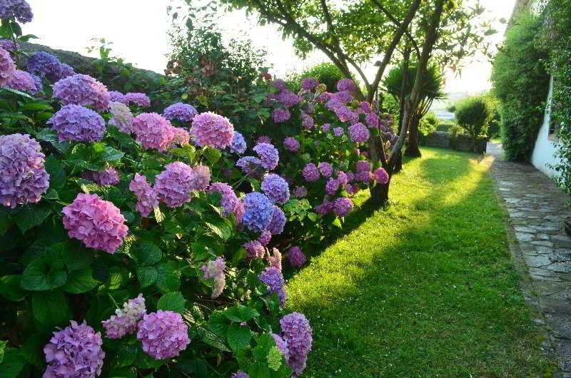Aparthotel Anexo Los Infantes